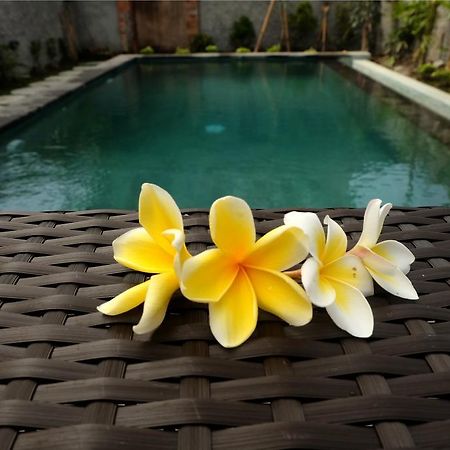 Eka Bali Guest House Ubud Dış mekan fotoğraf