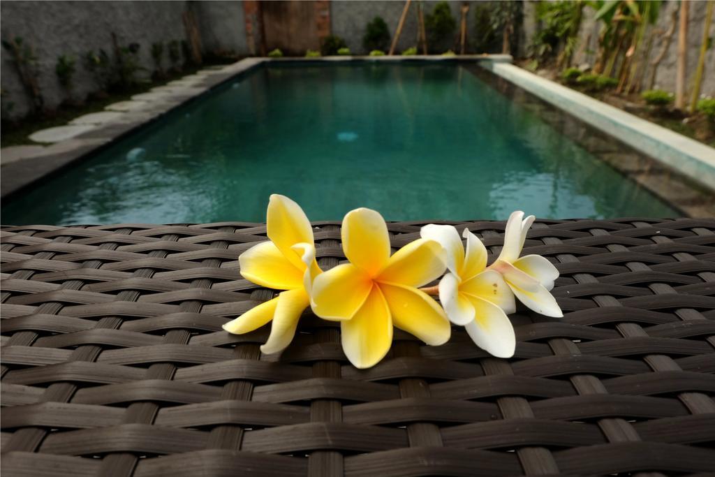 Eka Bali Guest House Ubud Dış mekan fotoğraf